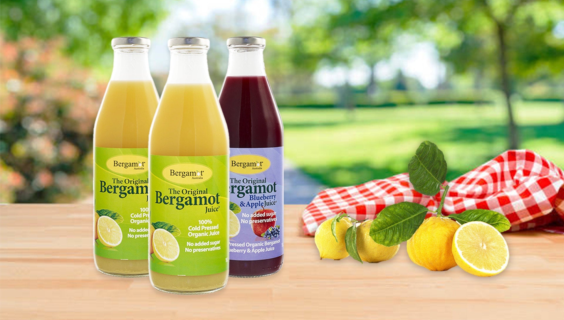 Flavonoid Fraction of Bergamot Juice Reduces LPS-Induced Inflammatory Response through SIRT1-Mediated NF-κB Inhibition in THP-1 Monocytes